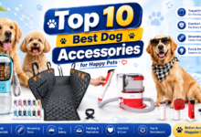 Top 10 Best Dog Accessories for Happy Pets