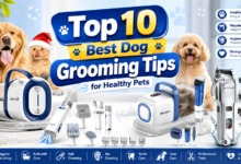 Top 10 Best Dog Grooming Tips for Healthy Pets
